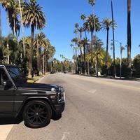 Отзыв от Василий - виза ДТВ